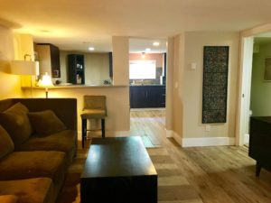One bed One bath suite Downtown $1150