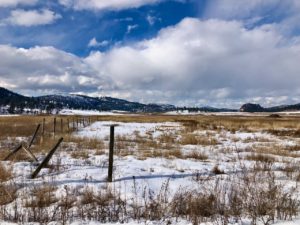 2-3 Acres of Bare, Flat land in North Glenmore. Zoned A-1. $490