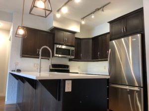 2 Bed, 2 Bath Condo-Lower Mission $1800