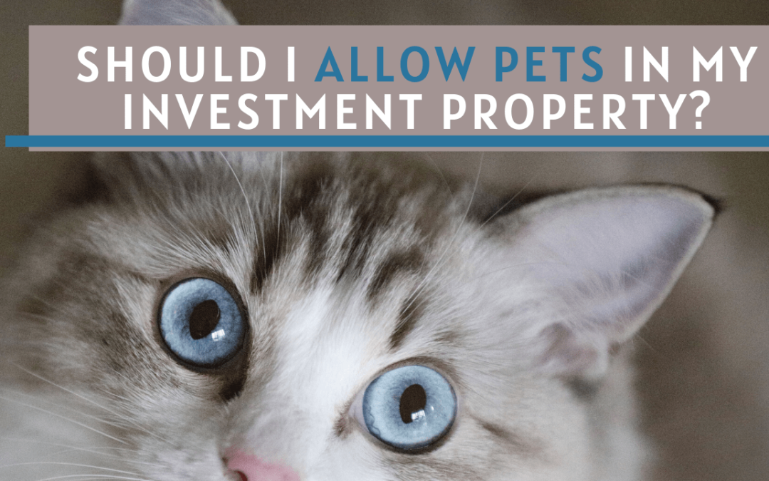 Allowing Pets in Rentals in BC, Canada: Good Idea or Bad Idea?