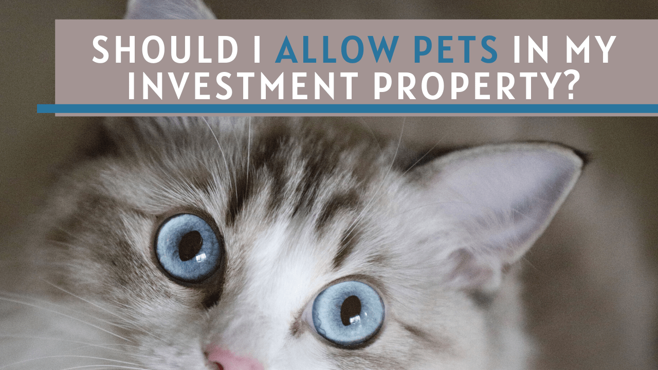 Allowing Pets in Rentals in BC, Canada: Good Idea or Bad Idea?