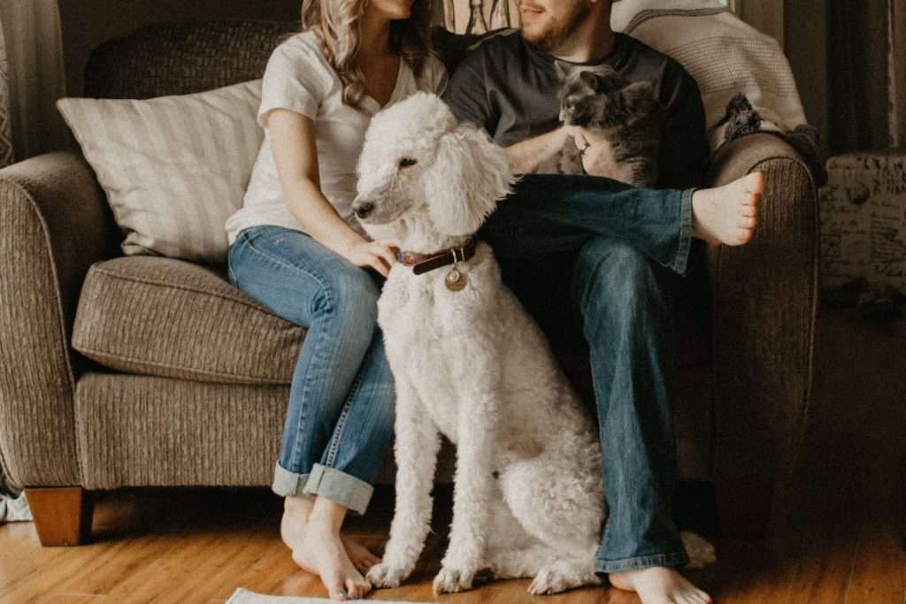 Abstract Image Of Couple having Pets.