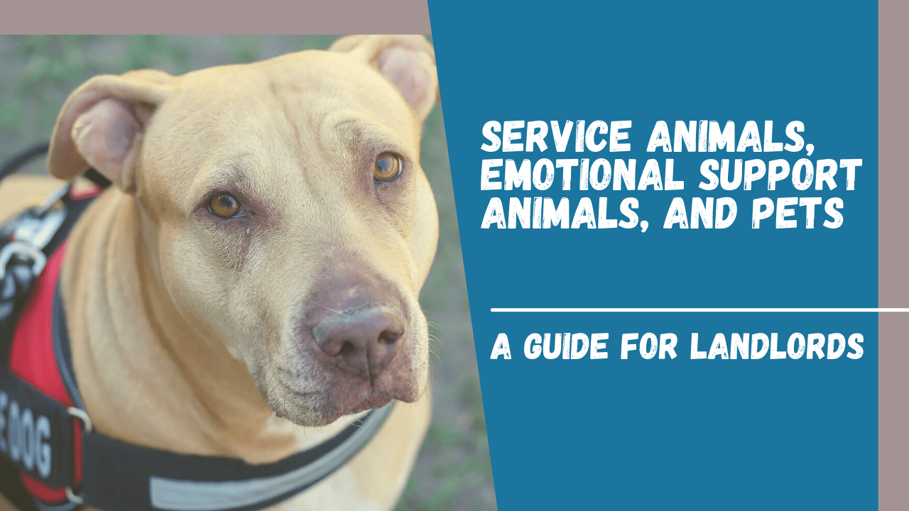 Service Animals, Emotional Support Animals, and Pets: A Guide for Kelowna Landlords - Article Banner