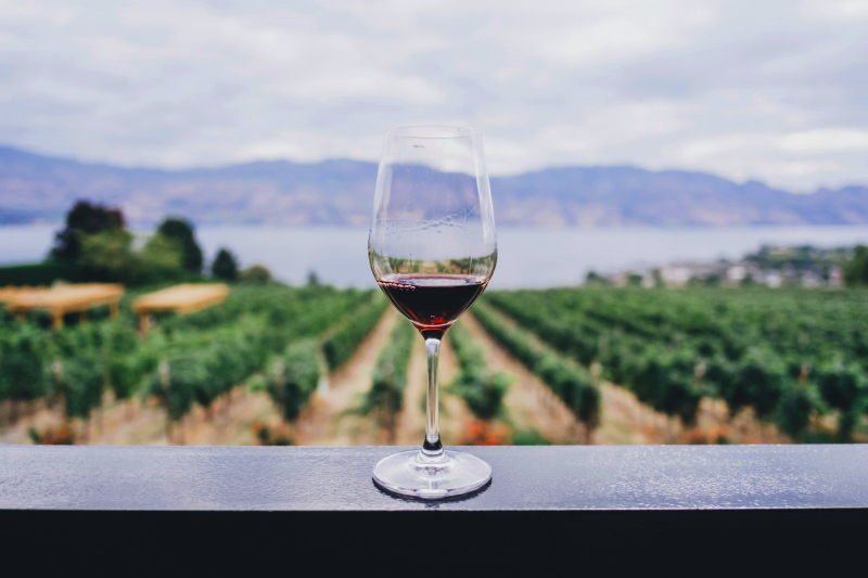 A Kelowna BC vineyard overlooking Okanagan Lake with a glass of red wine in the foreground.